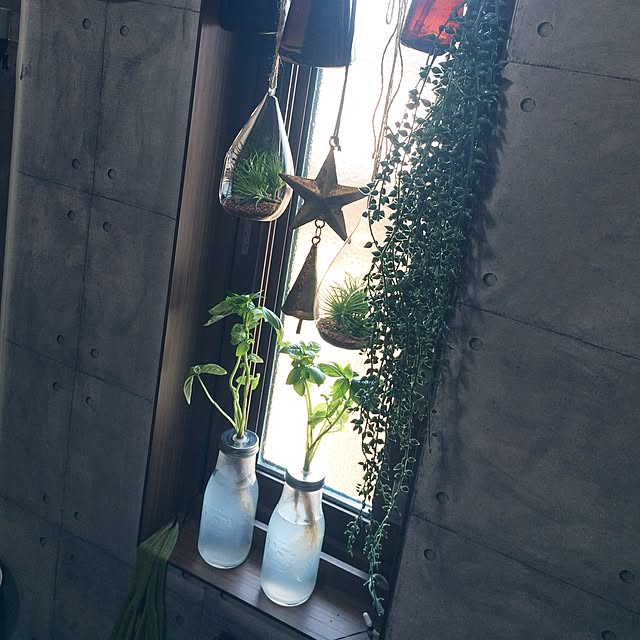 picoさんの実例写真
