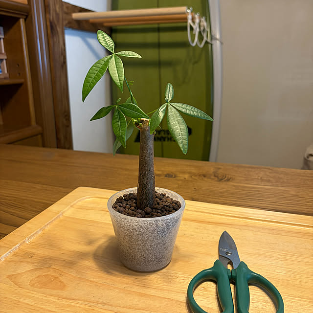 505さんの実例写真