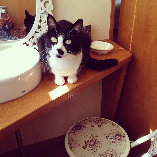 utataneさんの実例写真