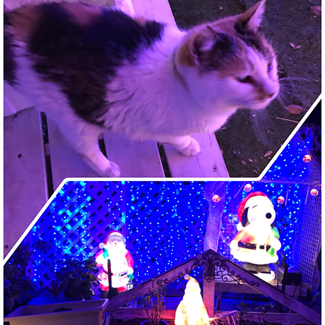 merisannさんの実例写真