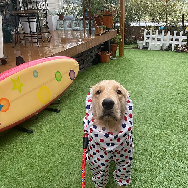 marinkoさんの実例写真