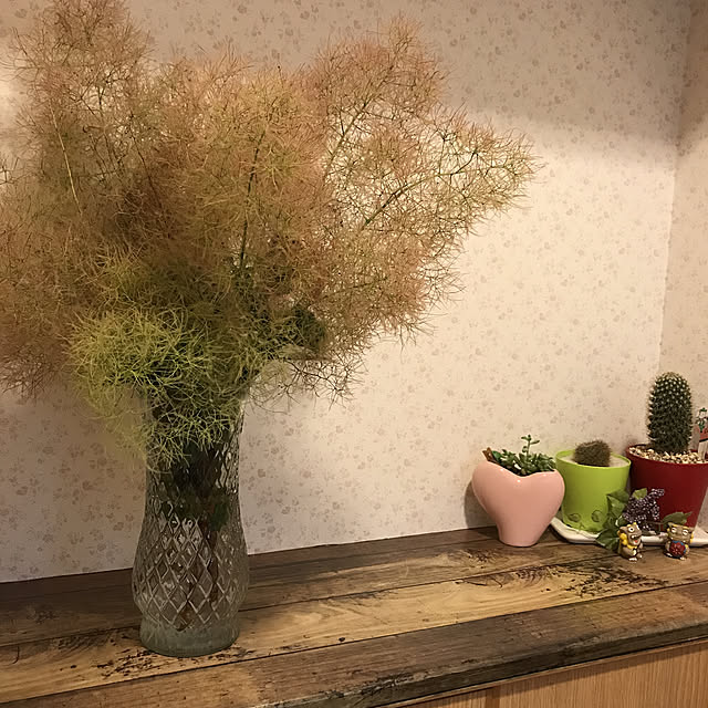 Sakuraさんの実例写真