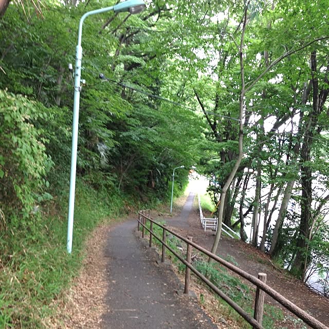 jnjnforesterさんの実例写真