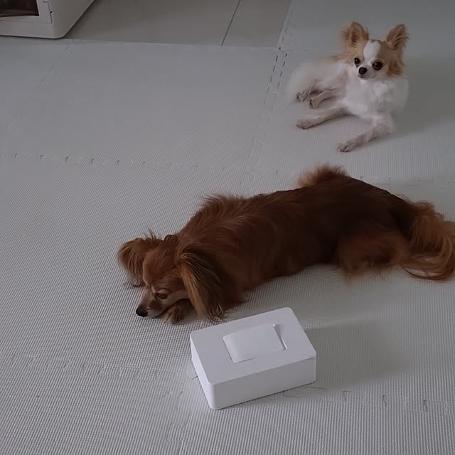vol.3760写真