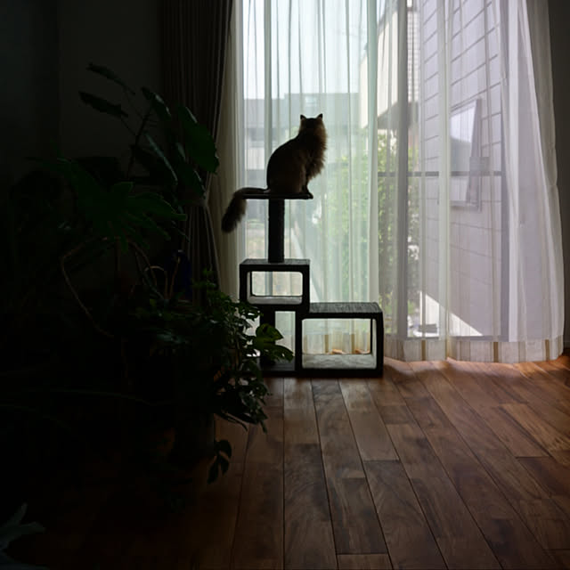 manew714さんの実例写真