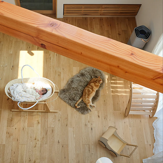 shiiiさんの実例写真