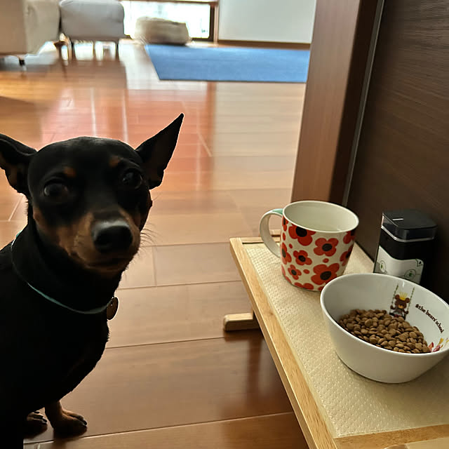 shizuponさんの部屋