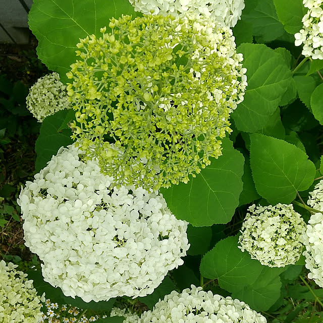 Rさんの実例写真