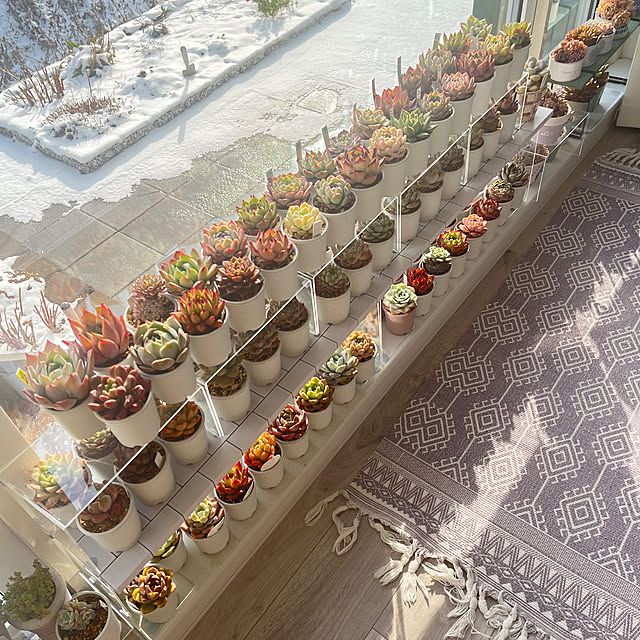 unichanさんの実例写真