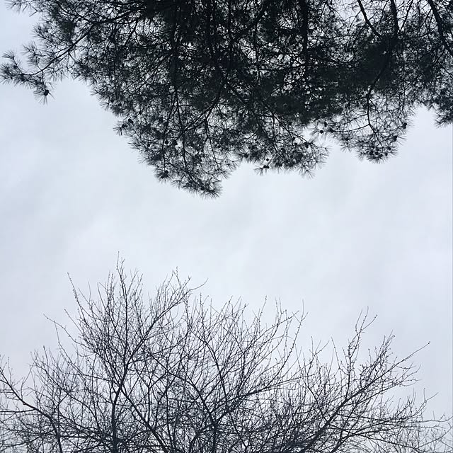 部屋全体のインテリア実例 - 2016-04-24 16:14:20