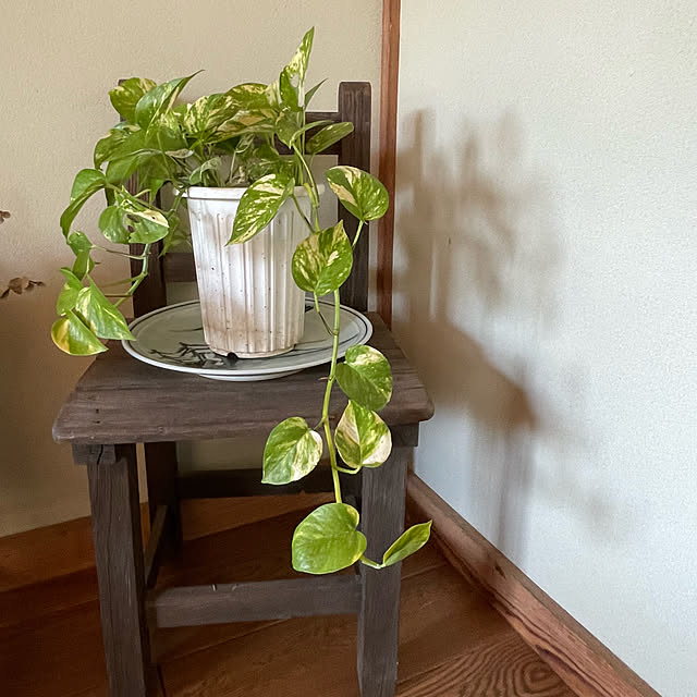 buchiさんの部屋