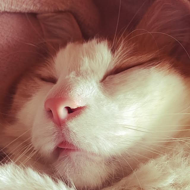 maria.rさんの実例写真