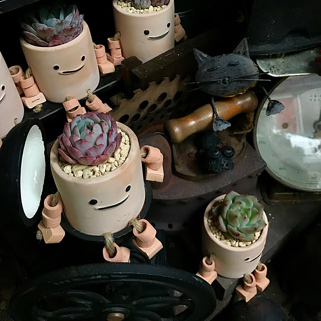 butachanさんの実例写真