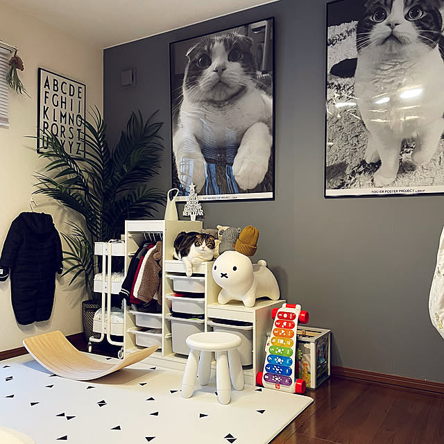 tansukeさんの実例写真