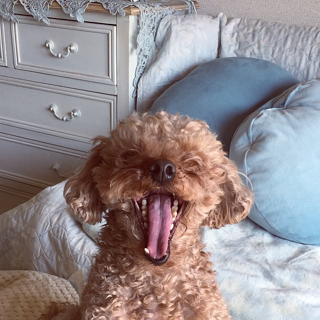 yukkoさんの実例写真