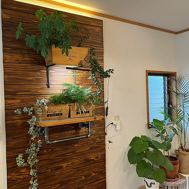 観葉植物のある暮らし/ガーデニング/カフェ風/中庭のある家/リフォームハウス...などのインテリア実例 - 2023-06-23 21:30:03