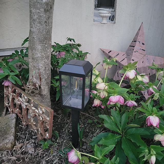 reireiさんの実例写真