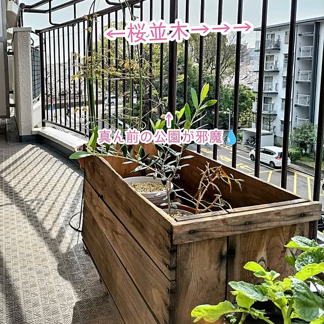 mi-saさんの部屋