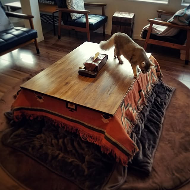 nekogurumaさんの実例写真