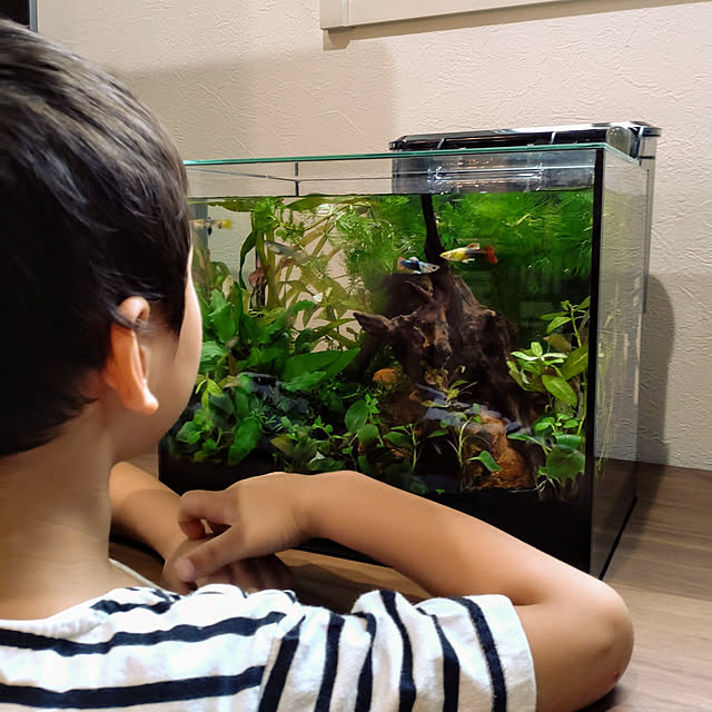 sachiさんの実例写真