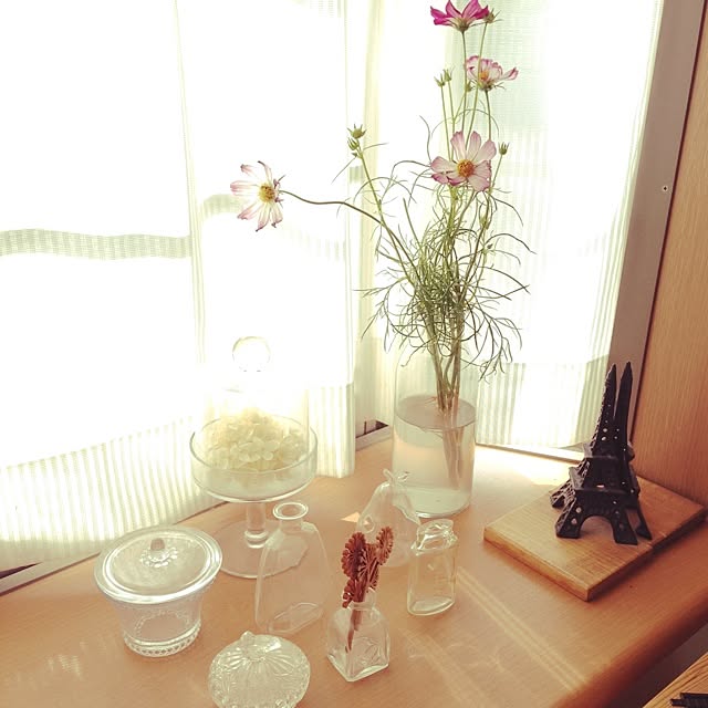 takaさんの実例写真