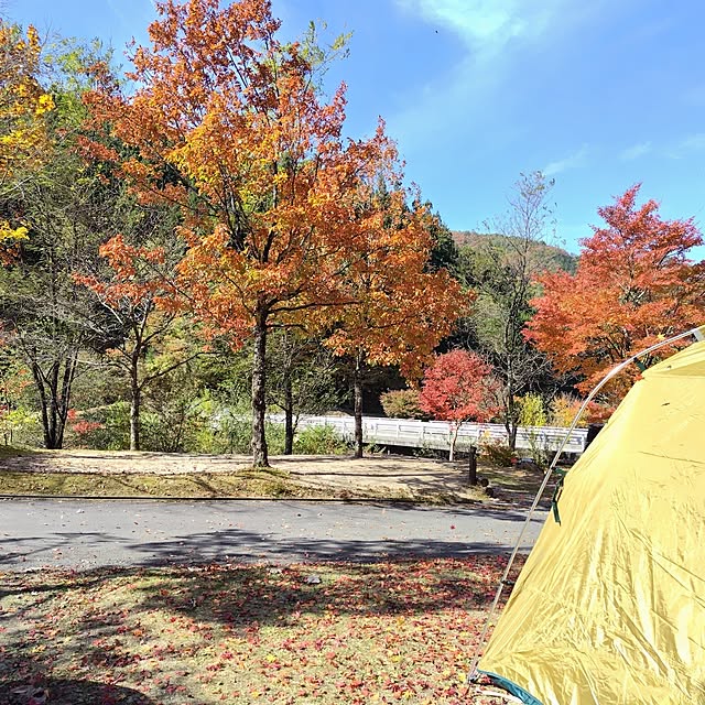 marronさんの部屋