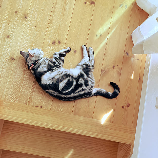 wahahaさんの実例写真