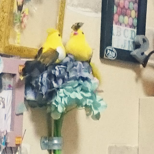 chamaさんの実例写真