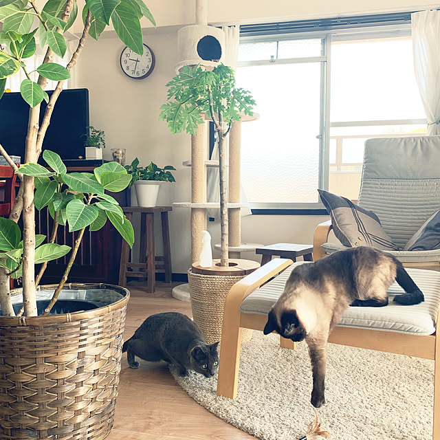 73さんの実例写真