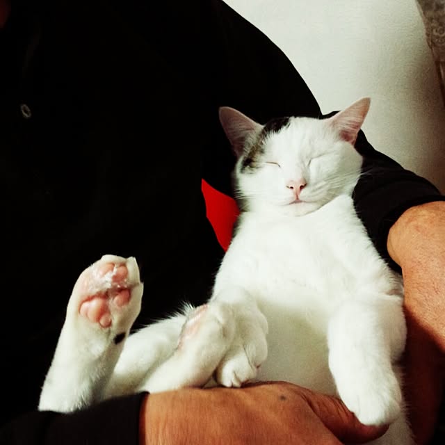 puku.さんの実例写真