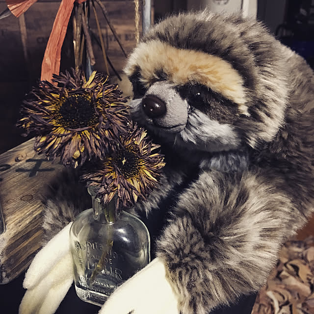 onokenkoさんの実例写真
