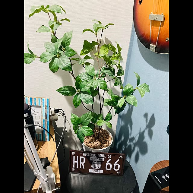 Fukiさんの実例写真