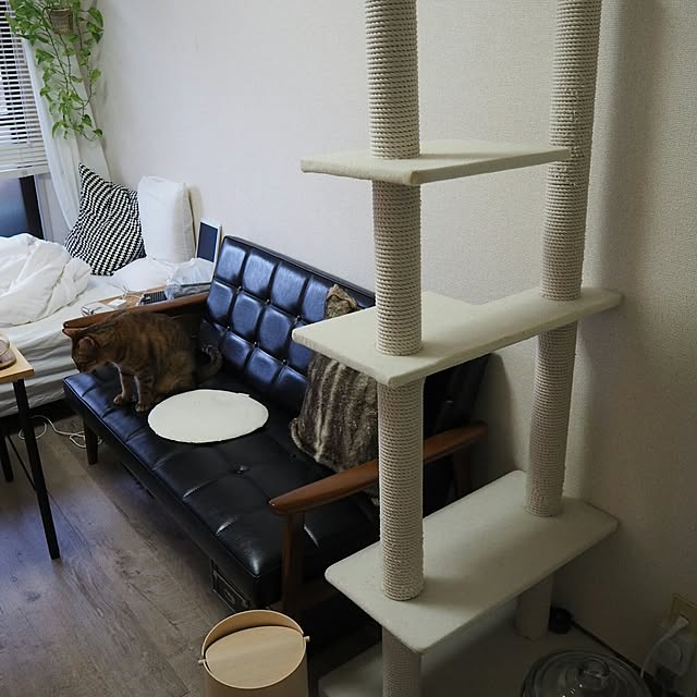 komugiさんの実例写真
