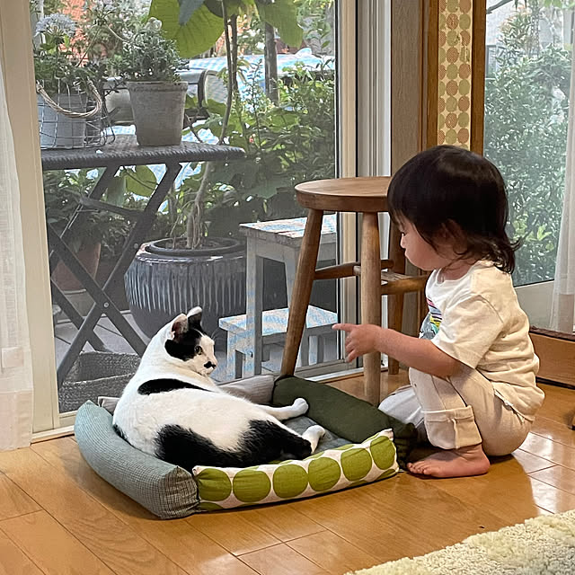 nobikoさんの部屋