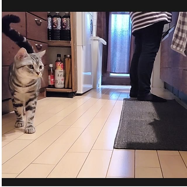 lovepeaceさんの実例写真