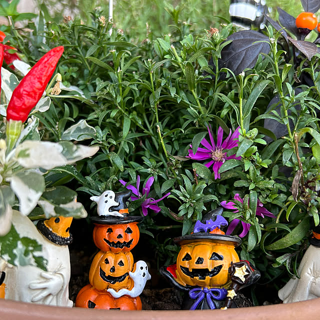 Fuku222さんの部屋