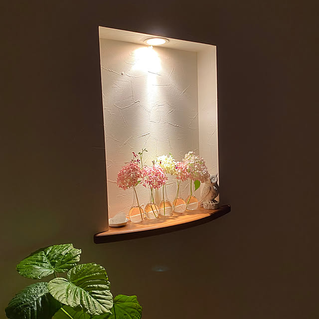 misacoさんの部屋