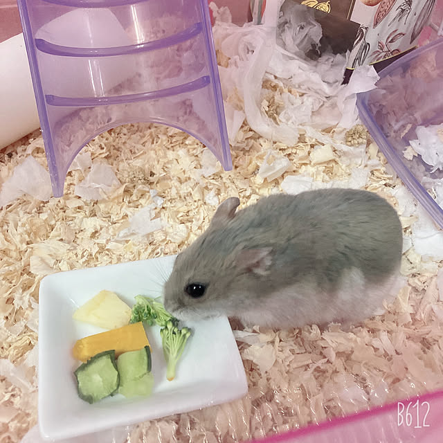 milkさんの実例写真