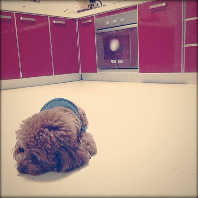 maylieさんの実例写真