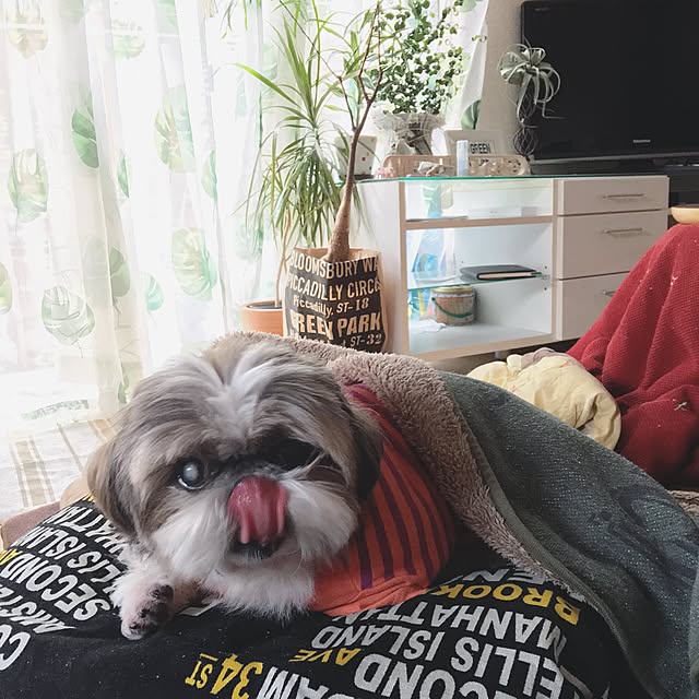 ANNAさんの実例写真
