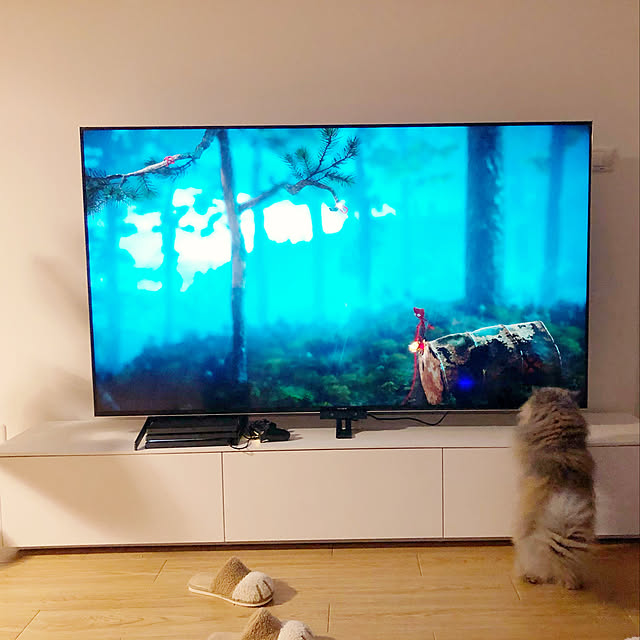 北欧/IKEA/観葉植物/リビングのインテリア実例 - 2021-01-15 10:10:25