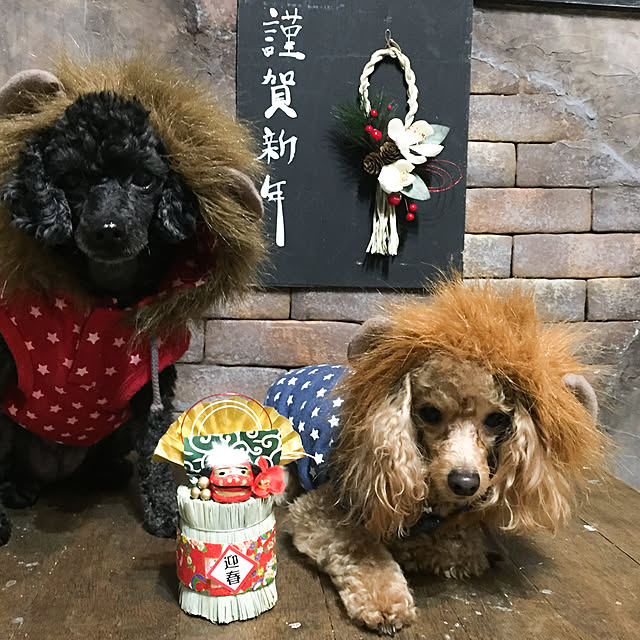 natulove0418さんの実例写真