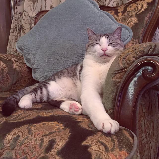 emmyyさんの実例写真