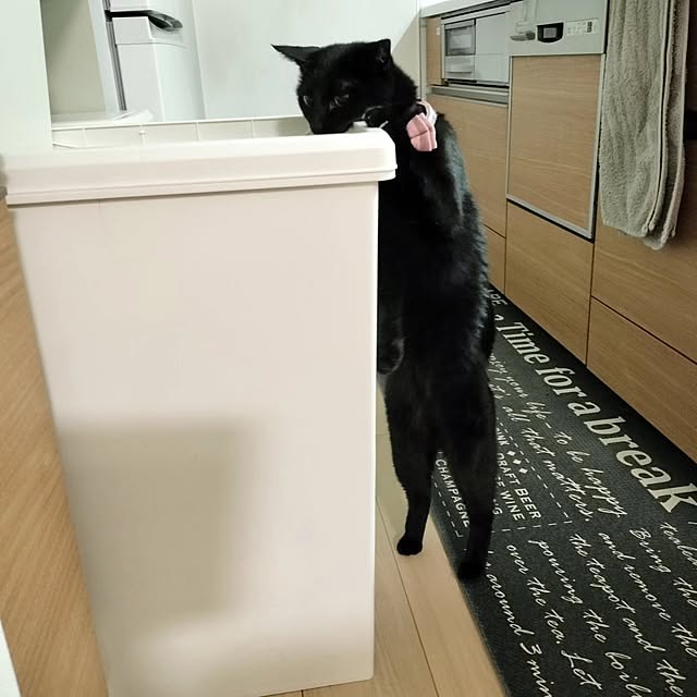 sakuraさんの部屋