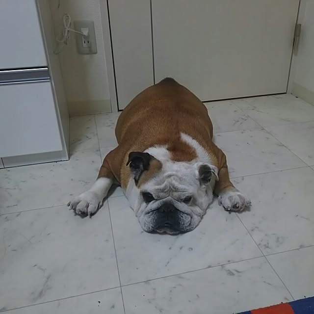 AandPさんの実例写真