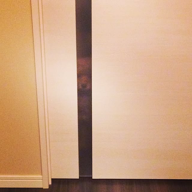 CURL38さんの実例写真