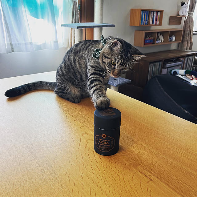 kuzumeganeさんの実例写真