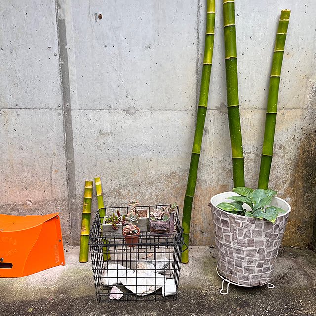 jijiさんの部屋