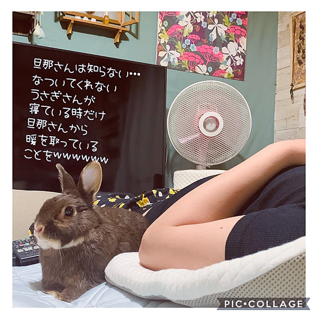 mo-nosukeさんの実例写真