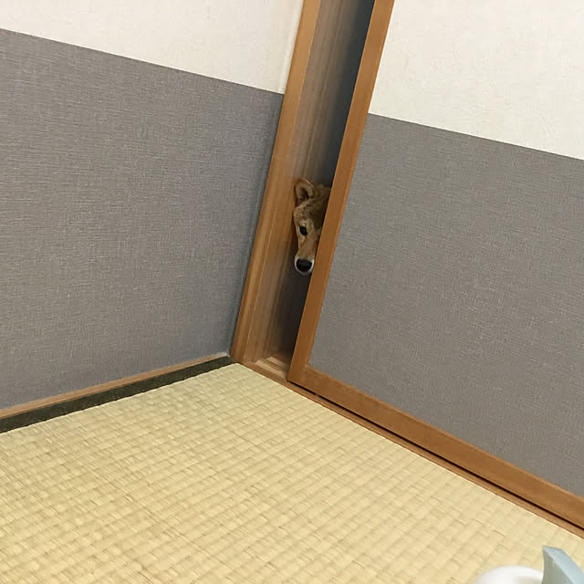 kurin_さんの部屋